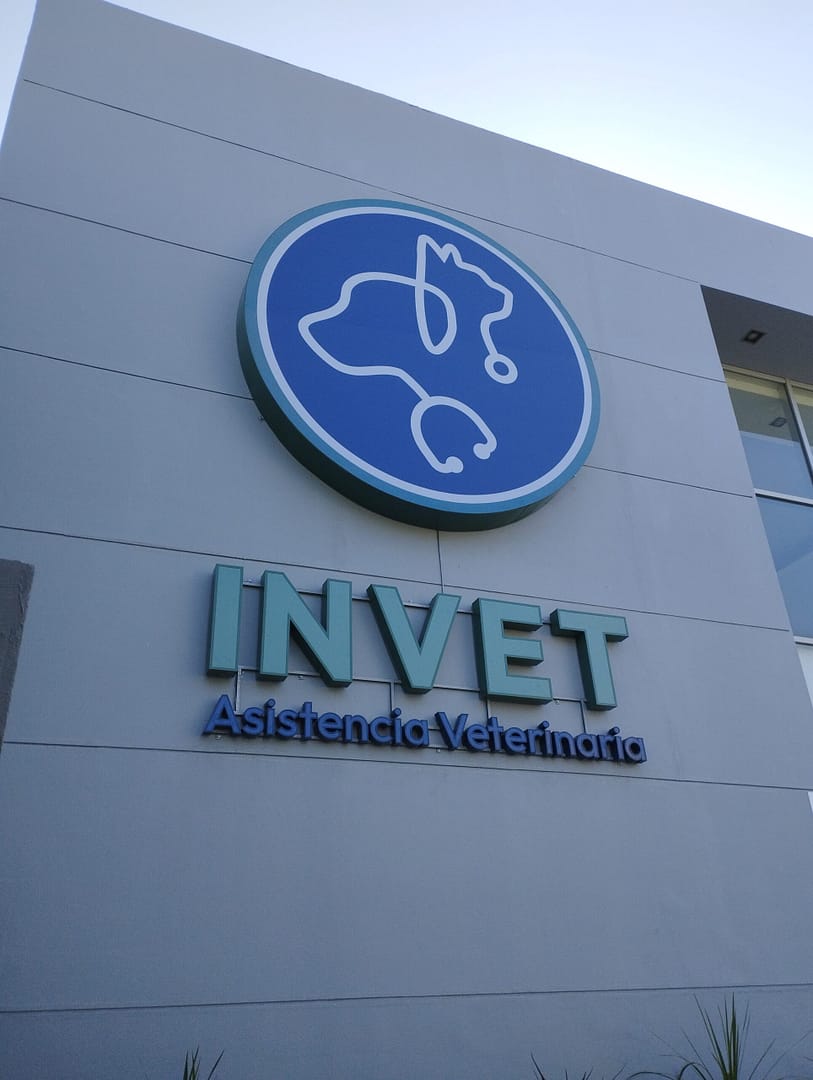 Control de Acceso – Veterinaria Clínica InVet